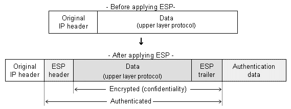 ESP v transportnm mdu