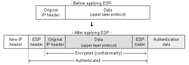 ESP tunel